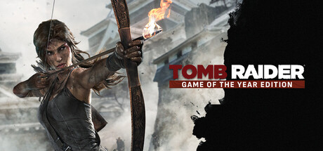 Tomb Raider Game of the Year cover art